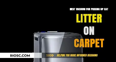 Top Vacuum Picks for Effortlessly Removing Cat Litter from Carpeted Floors