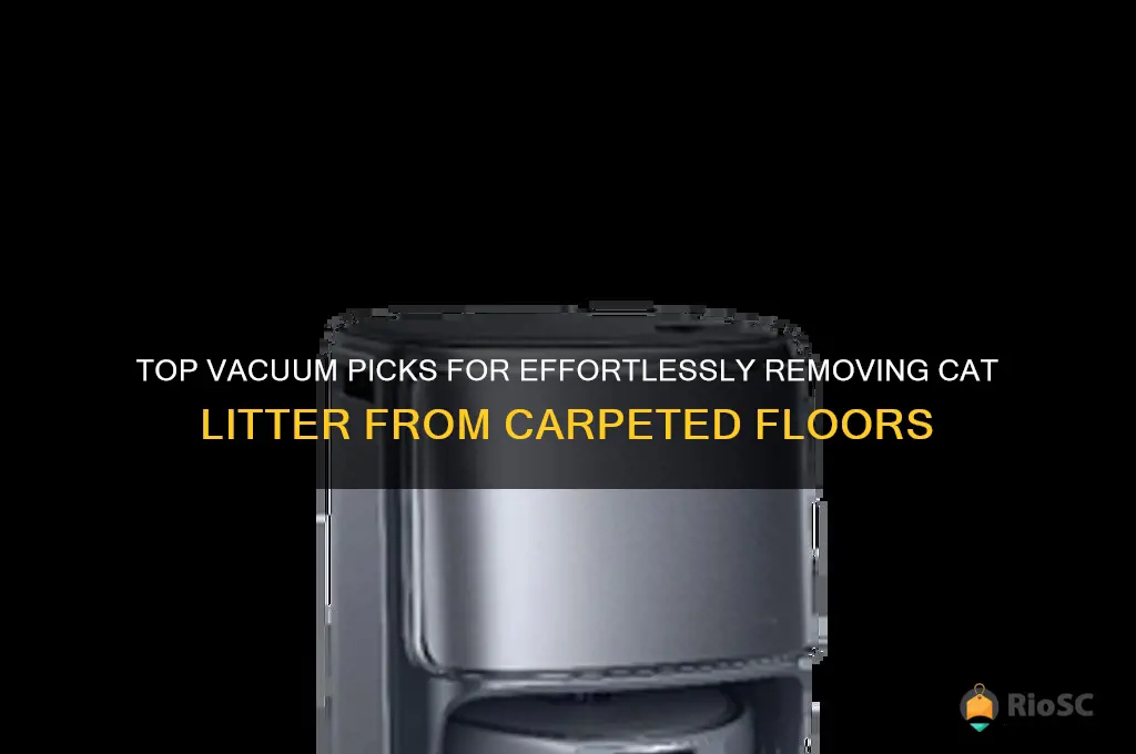 best vacuum for picking up cat litter on carpet