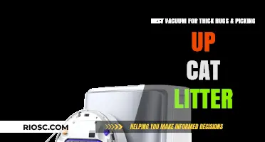 Ultimate Guide: Best Vacuum for Thick Rugs and Efficiently Picking Up Cat Litter
