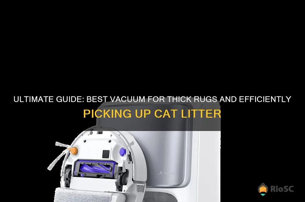 best vacuum for thick rugs & picking up cat litter