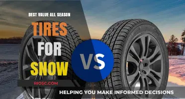 Top Picks for All-Season Tires: Unbeatable Value for Snowy Conditions