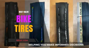 Top-Rated Bike Tires That Offer Unbeatable Value for Money