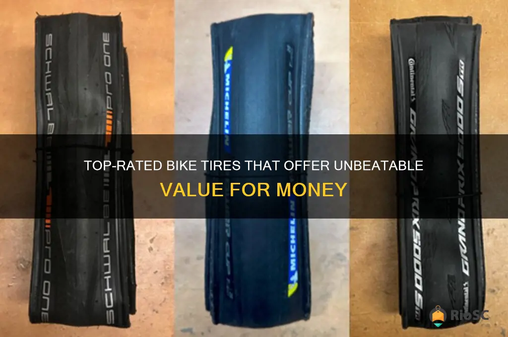 best value bike tires