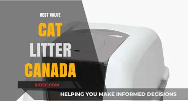 Top Affordable Cat Litter Options in Canada: Best Value for Your Money