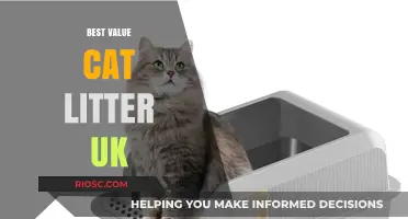 Top Affordable Cat Litter Options in the UK: Best Value for Your Money