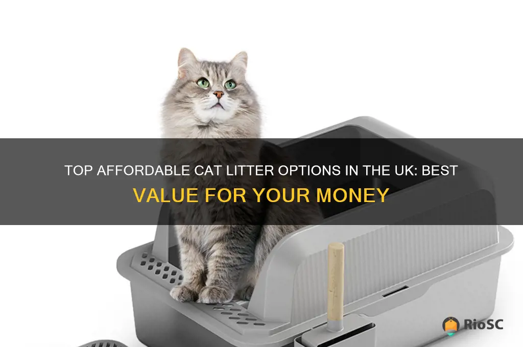 best value cat litter uk