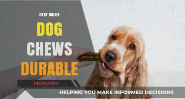 Top Durable Dog Chews That Offer the Best Value for Long-Lasting Satisfaction