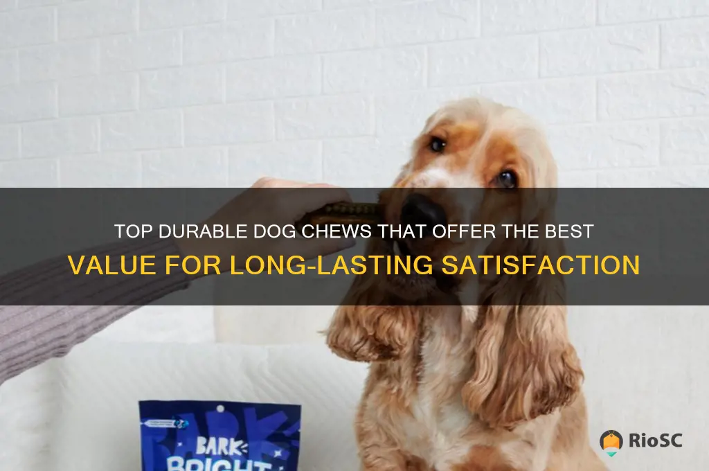 best value dog chews durable