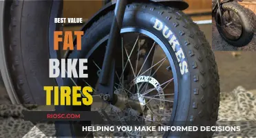 Top-Rated Fat Bike Tires: Unbeatable Performance Without Breaking the Bank