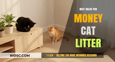 Top Picks for Affordable and Effective Cat Litter: Maximize Your Budget Without Compromising Quality