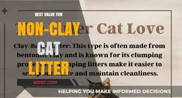 Top Non-Clay Cat Litter Options: Affordable, Eco-Friendly, and High-Performance Choices