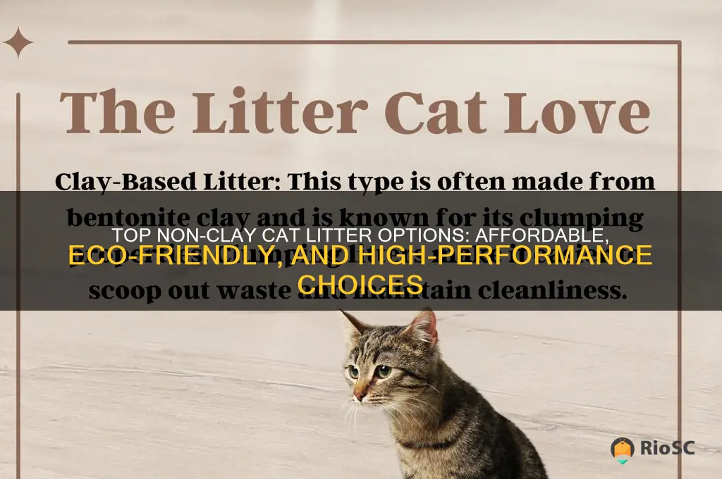 best value for non-clay cat litter