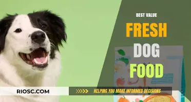 Top Picks for Fresh Dog Food: Quality Nutrition at Affordable Prices