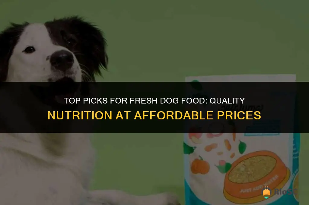 best value fresh dog food