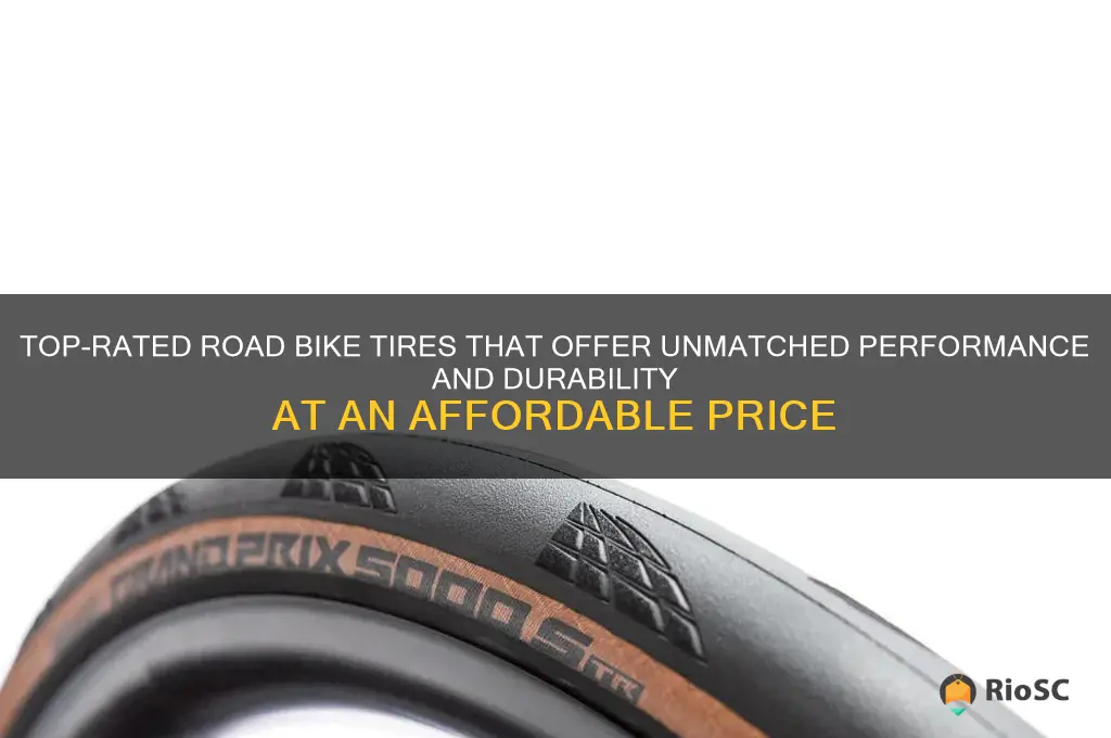 best value road bike tires
