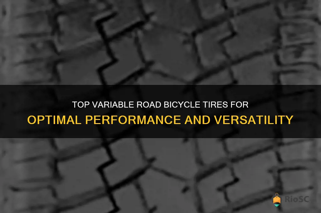 best variable road bicycle tires