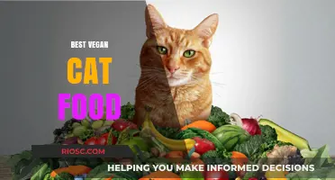 Purr-fectly Plant-Based: A Guide to the Best Vegan Cat Food Options