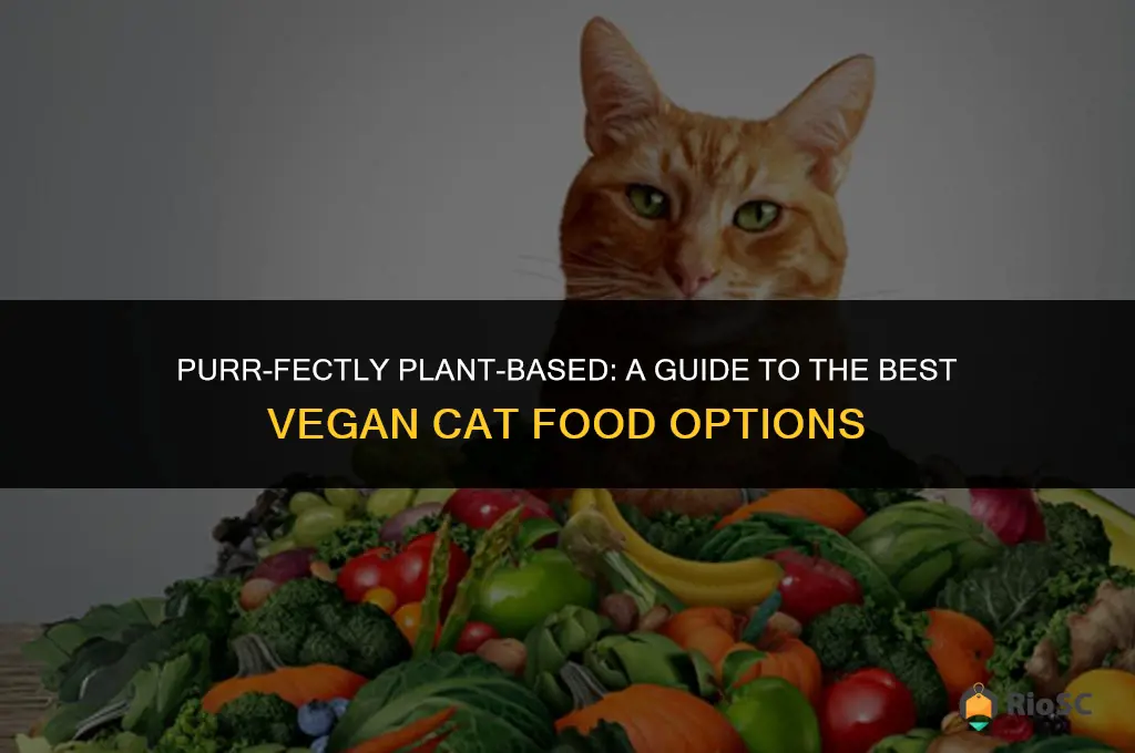 best vegan cat food
