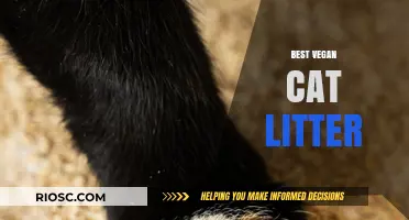 Eco-Friendly and Pet-Safe: Discover the Best Vegan Cat Litter Options for Your Feline Friend