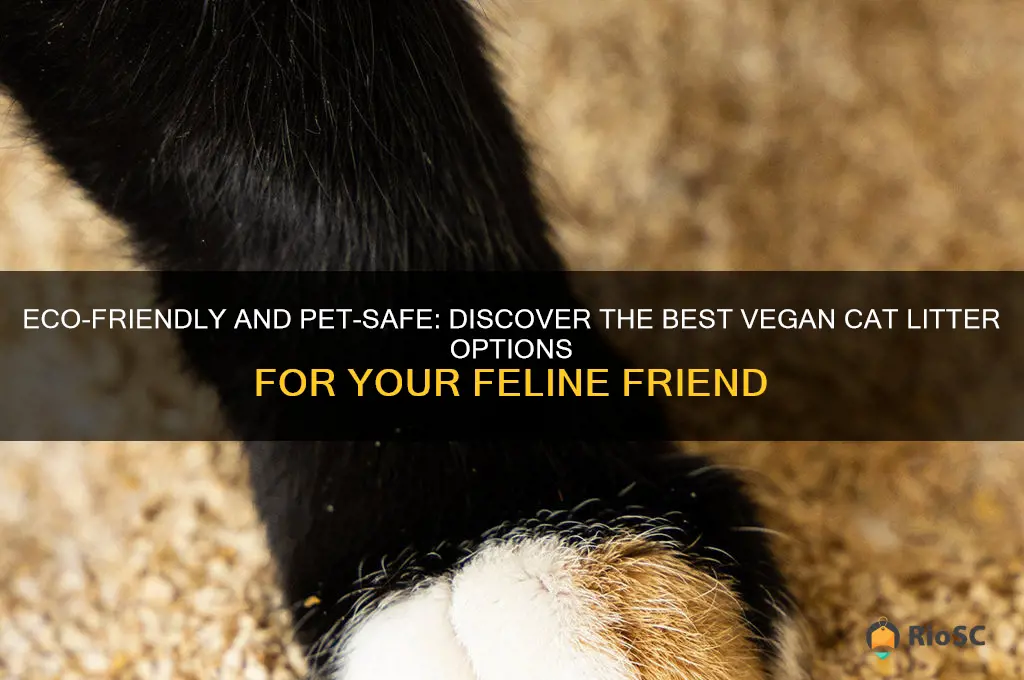 best vegan cat litter