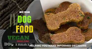Top Vegan Dog Food Options: Nourishing Your Canine Companion with Plant-Based Nutrition