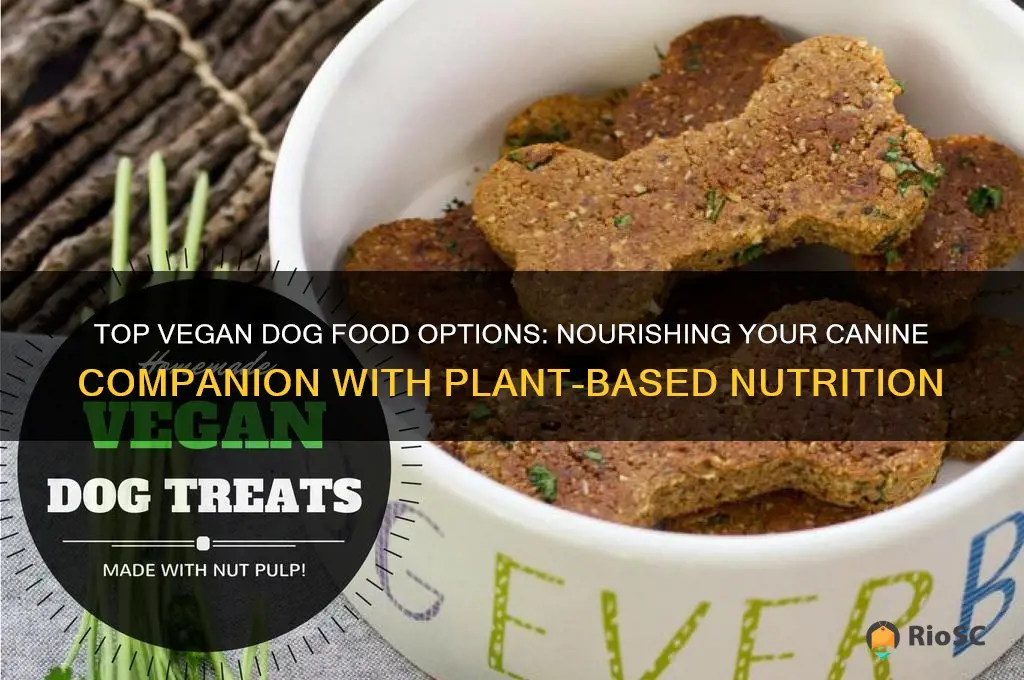 best vegan dog food