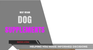 Top Vegan Dog Supplements to Boost Your Pet’s Health and Vitality