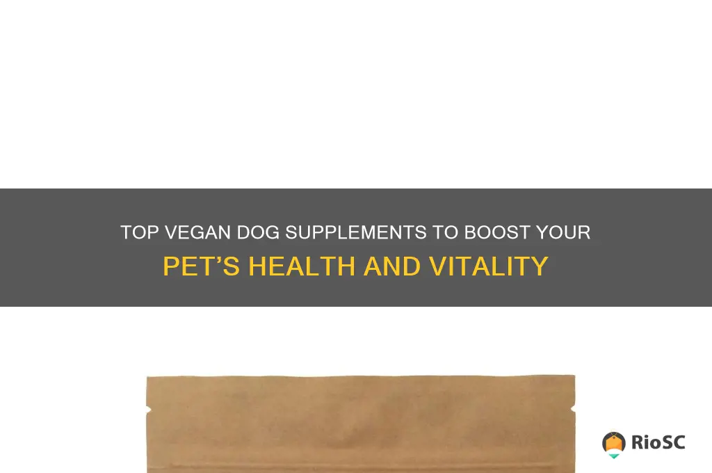 best vegan dog supplements