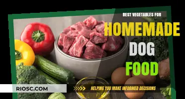 Wholesome Bites: Top Vegetables to Include in Your Homemade Dog Food Recipes