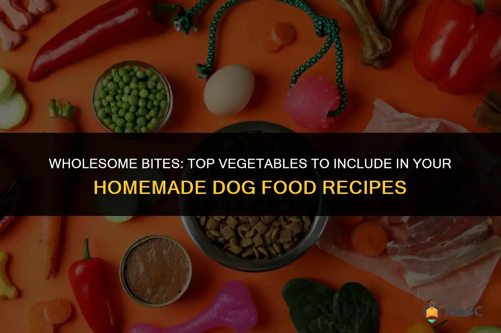 best vegetables for homemade dog food