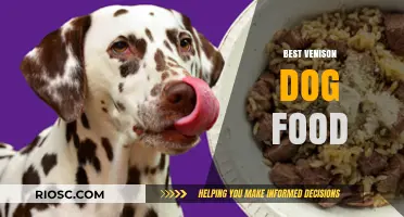 Top Venison Dog Food Options: Premium Nutrition for Your Canine Companion