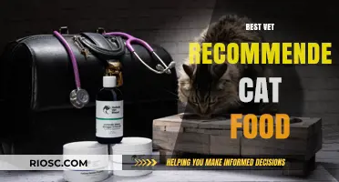 Top Vet-Recommended Cat Foods: A Comprehensive Guide to Feline Nutrition