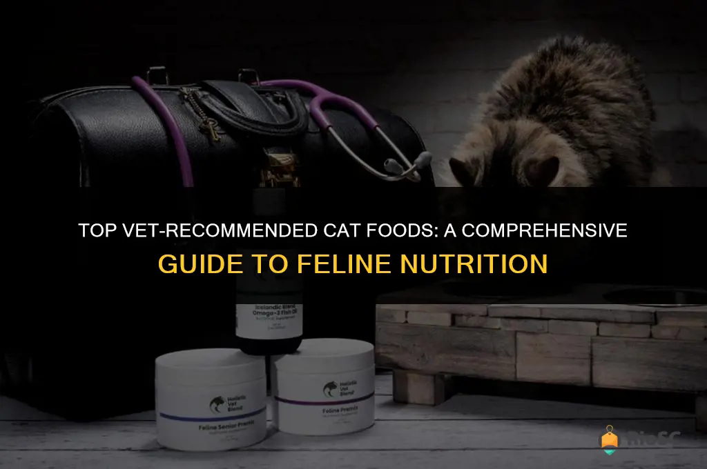 best vet recommended cat food