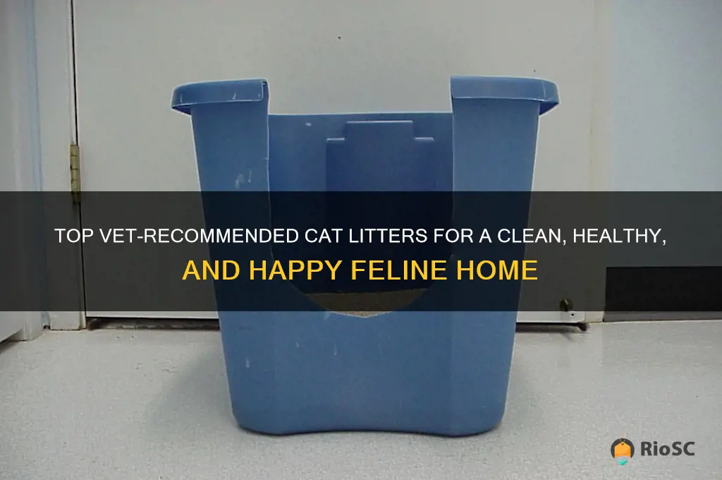 best vet recommended cat litter