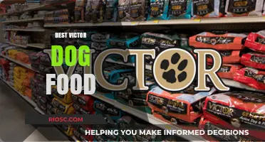 Top Picks for Victor Dog Food: Premium Nutrition for Your Canine Companion