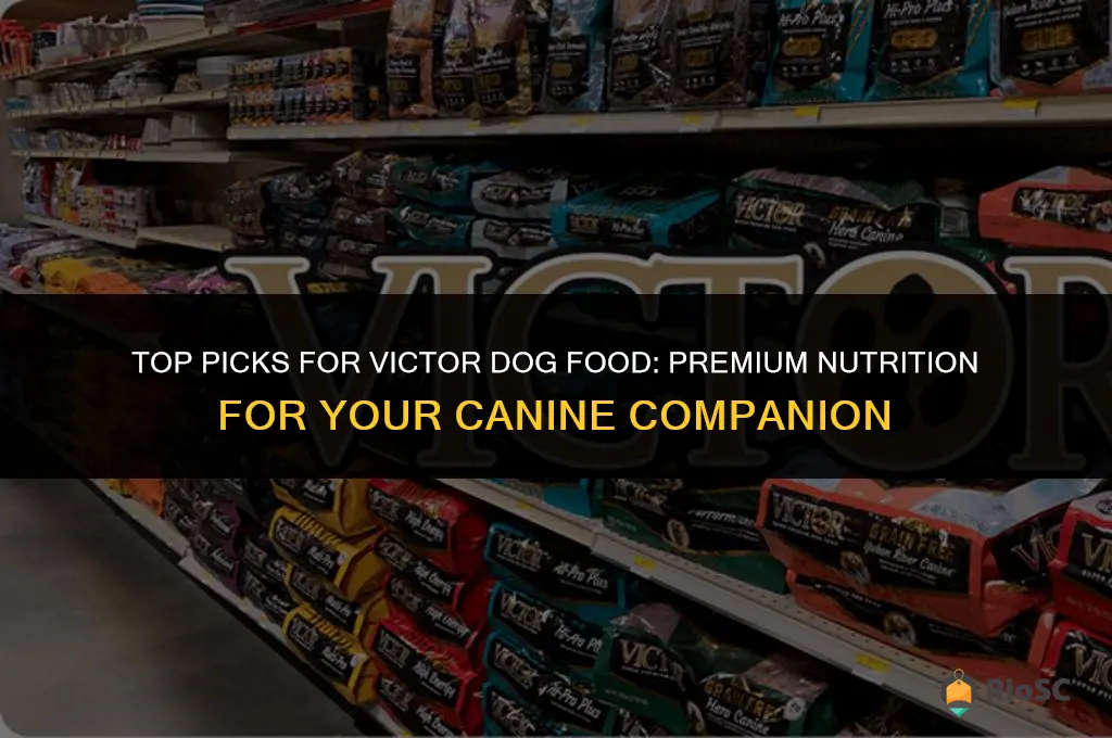 best victor dog food