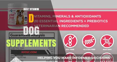 Top Vitamin D Dog Supplements for Optimal Canine Health and Wellness