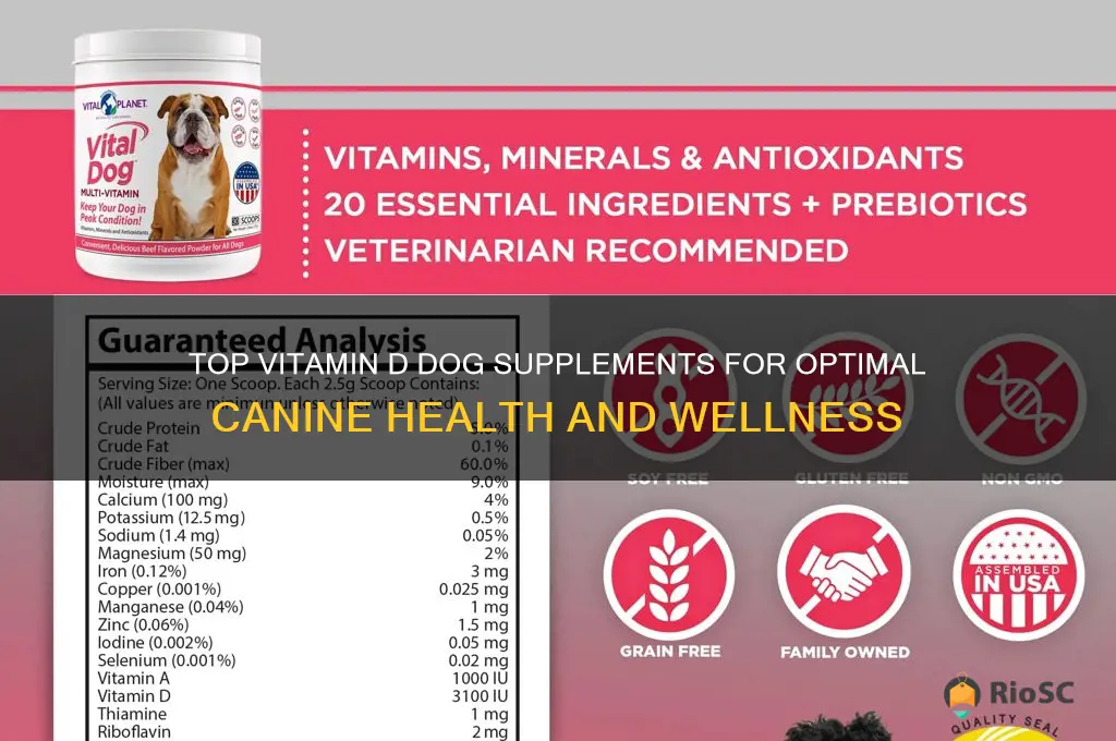 best vitamin d dog supplements
