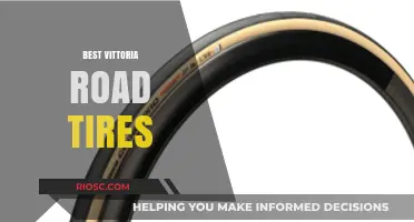 Vittoria Road Tires: Top Picks for Performance, Durability, and Speed