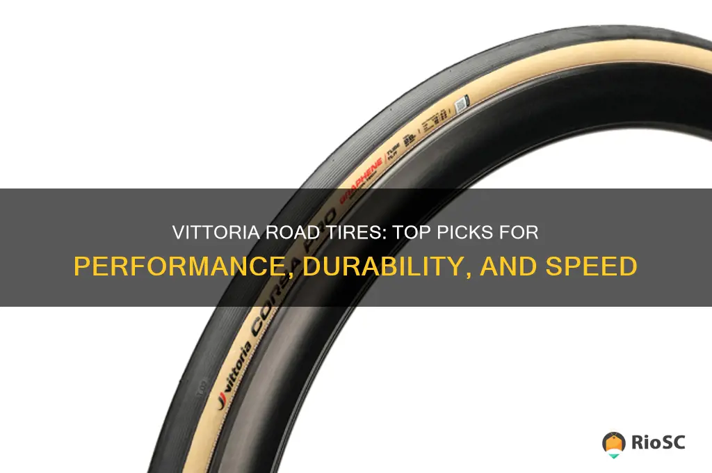best vittoria road tires