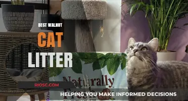 Top Picks for Eco-Friendly Pet Care: Discover the Best Walnut Cat Litter Options