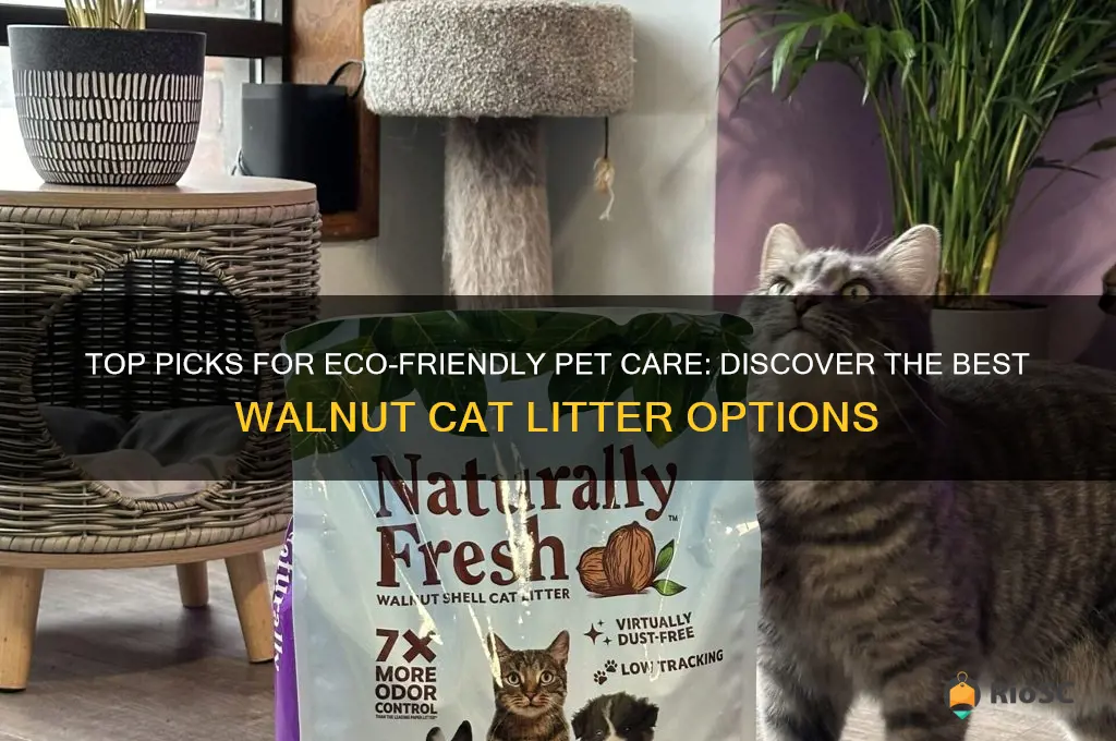 best walnut cat litter