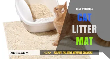 Top Washable Cat Litter Mat Options for a Clean and Mess-Free Home