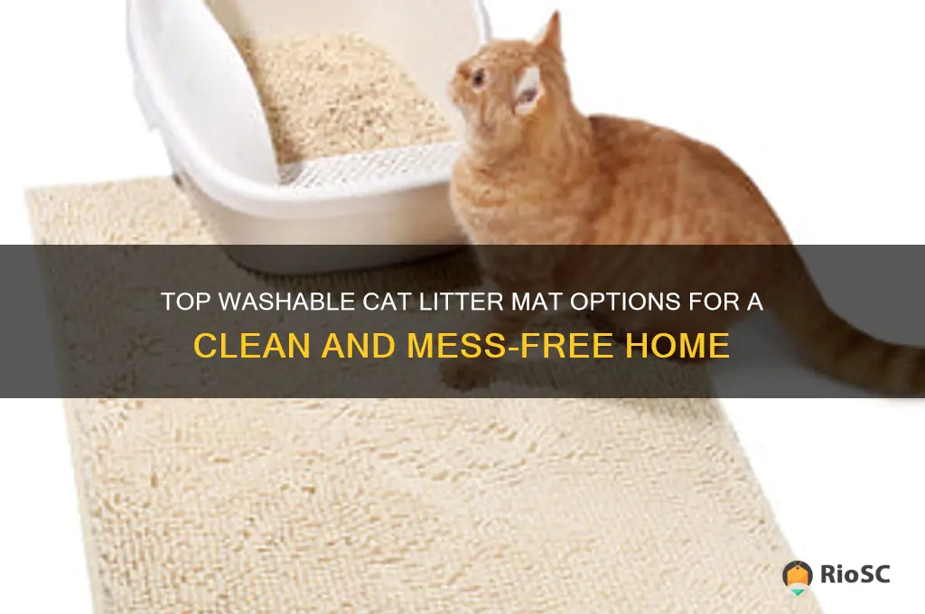 best washable cat litter mat