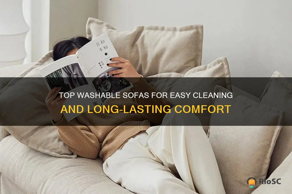 best washable sofas