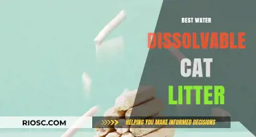 Eco-Friendly and Mess-Free: Discover the Best Water-Dissolvable Cat Litter Options