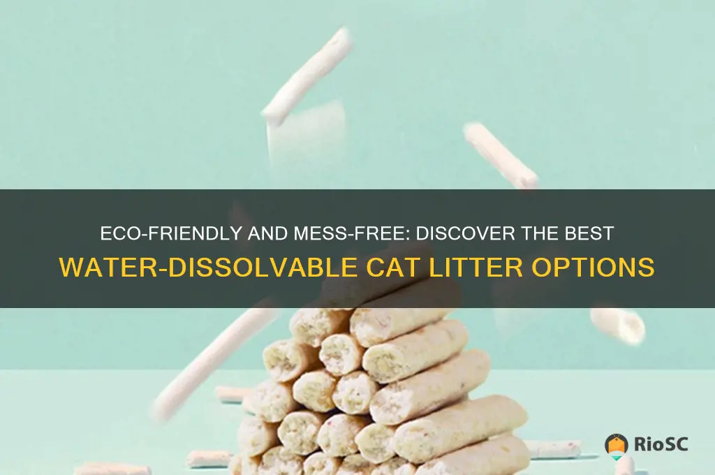 best water dissolvable cat litter
