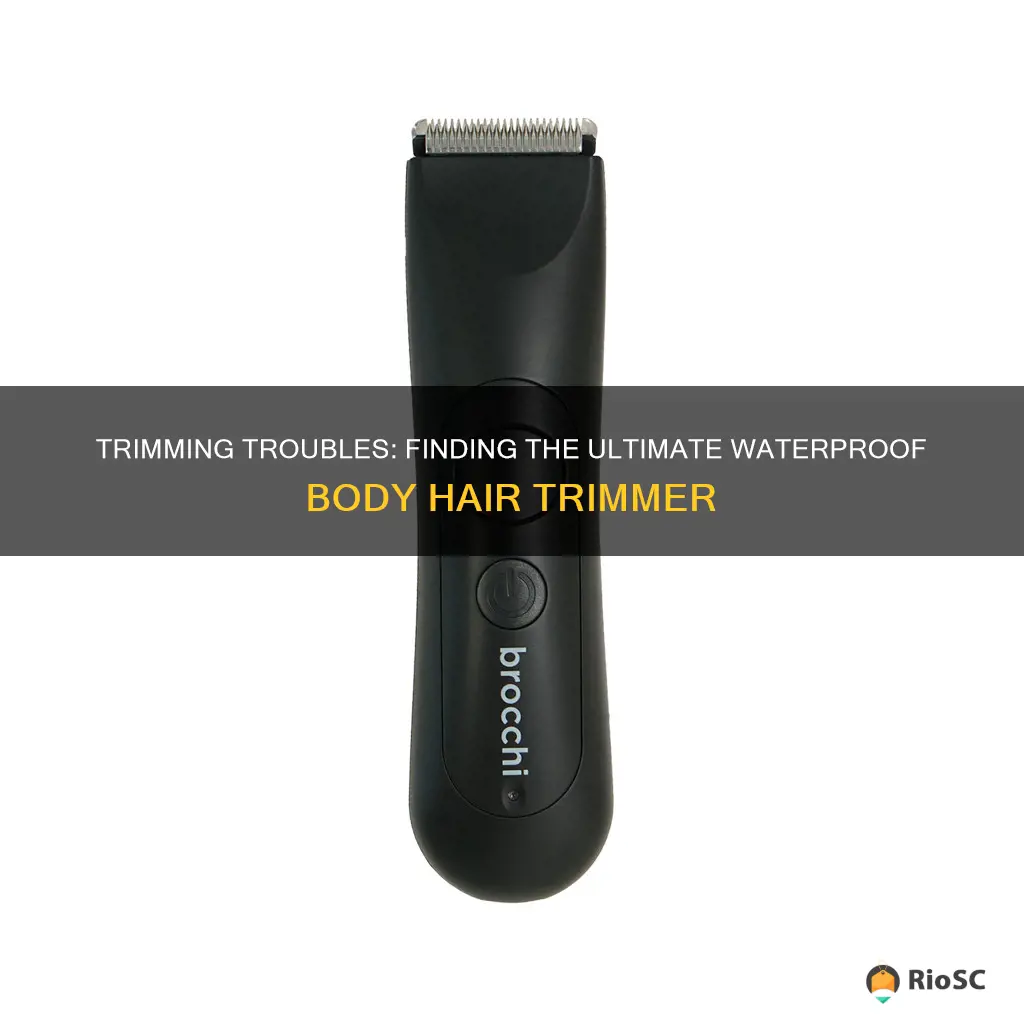 best waterproof body hair trimmer