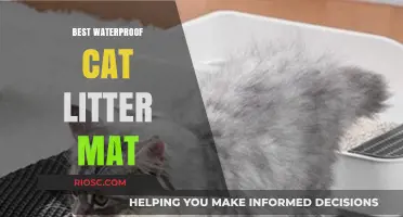 Top-Rated Waterproof Cat Litter Mats to Keep Your Floors Clean and Dry