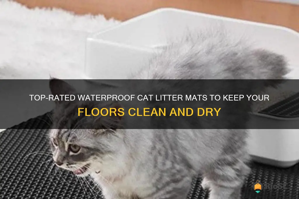 best waterproof cat litter mat